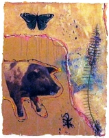 flordia_butterfly_pig_b